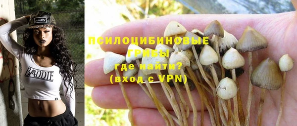 прущая мука Мегион