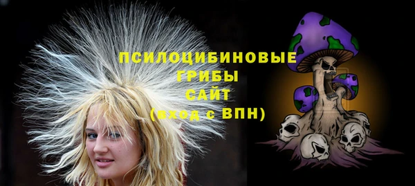 МДПВ Медвежьегорск