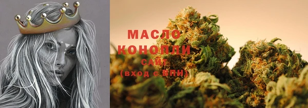 МДПВ Медногорск