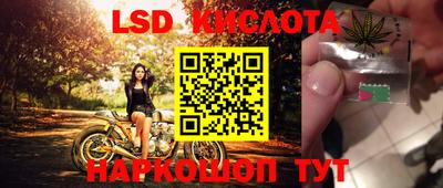 гашик Донской