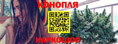 МДПВ Дубна