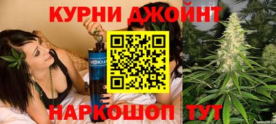 МДПВ Дубна
