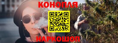 стафф Донецк