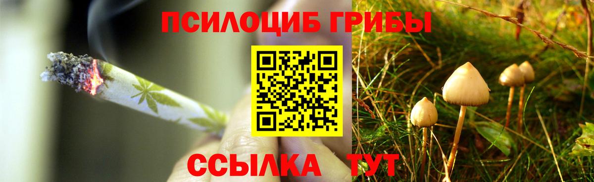 Галлюциногенные грибы Cubensis  Вход с VPN  Галлюциногенные грибы ЛСД  Самара 